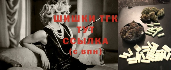 дурь Переславль-Залесский