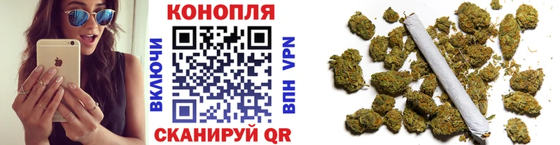 Бошки марихуана ГИДРОПОН  blacksprut ссылка  Можга 